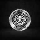 Worldwide Business Intelligence logo