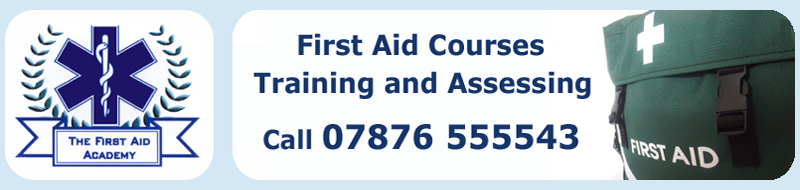 The First Aid Academy logo