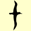 The Albatross Totnes logo