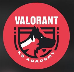 Valorant K9 Academy