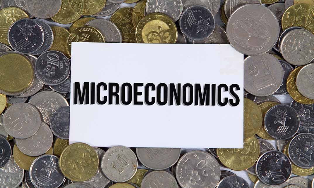 Microeconomics Level 3