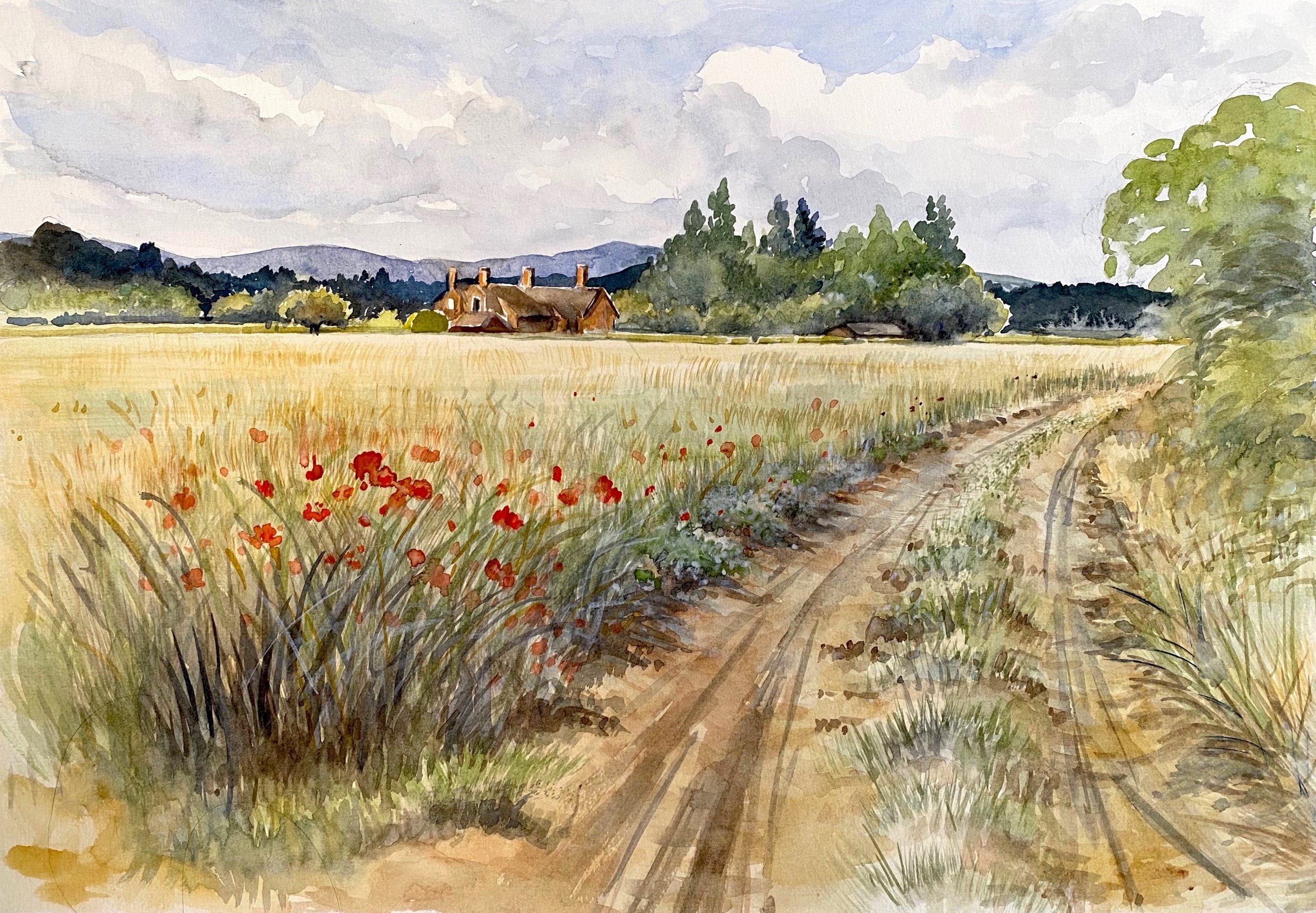 Illustrative Rural Landscape in Watercolour