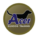 Acer Gundog Training - West Kent Area