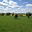 South Cambridgeshire Equestrian Centre