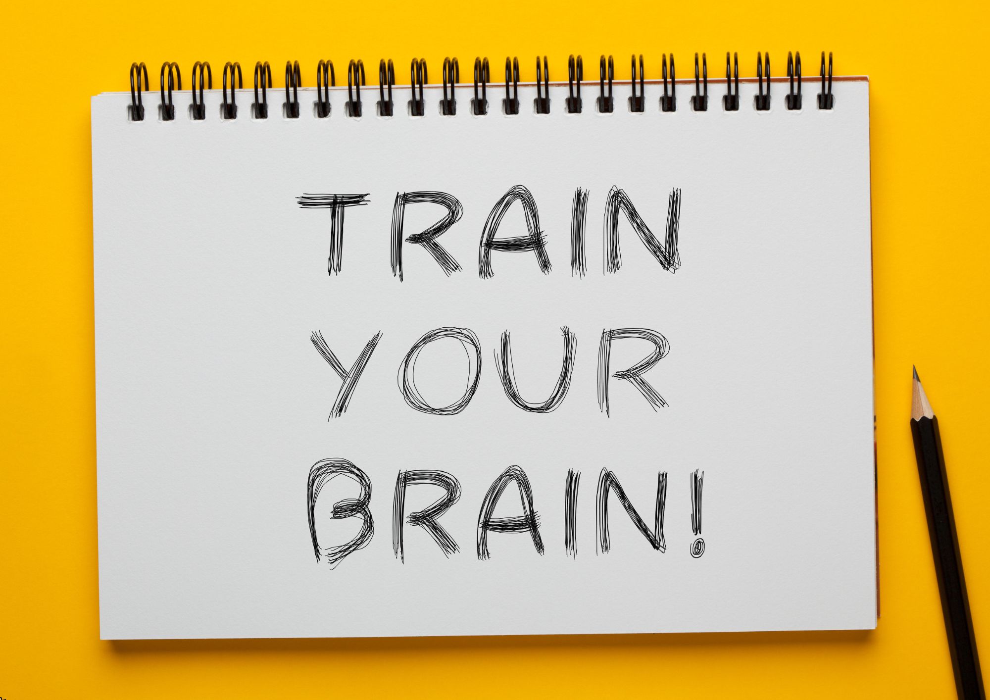 Develop Your Business Brain