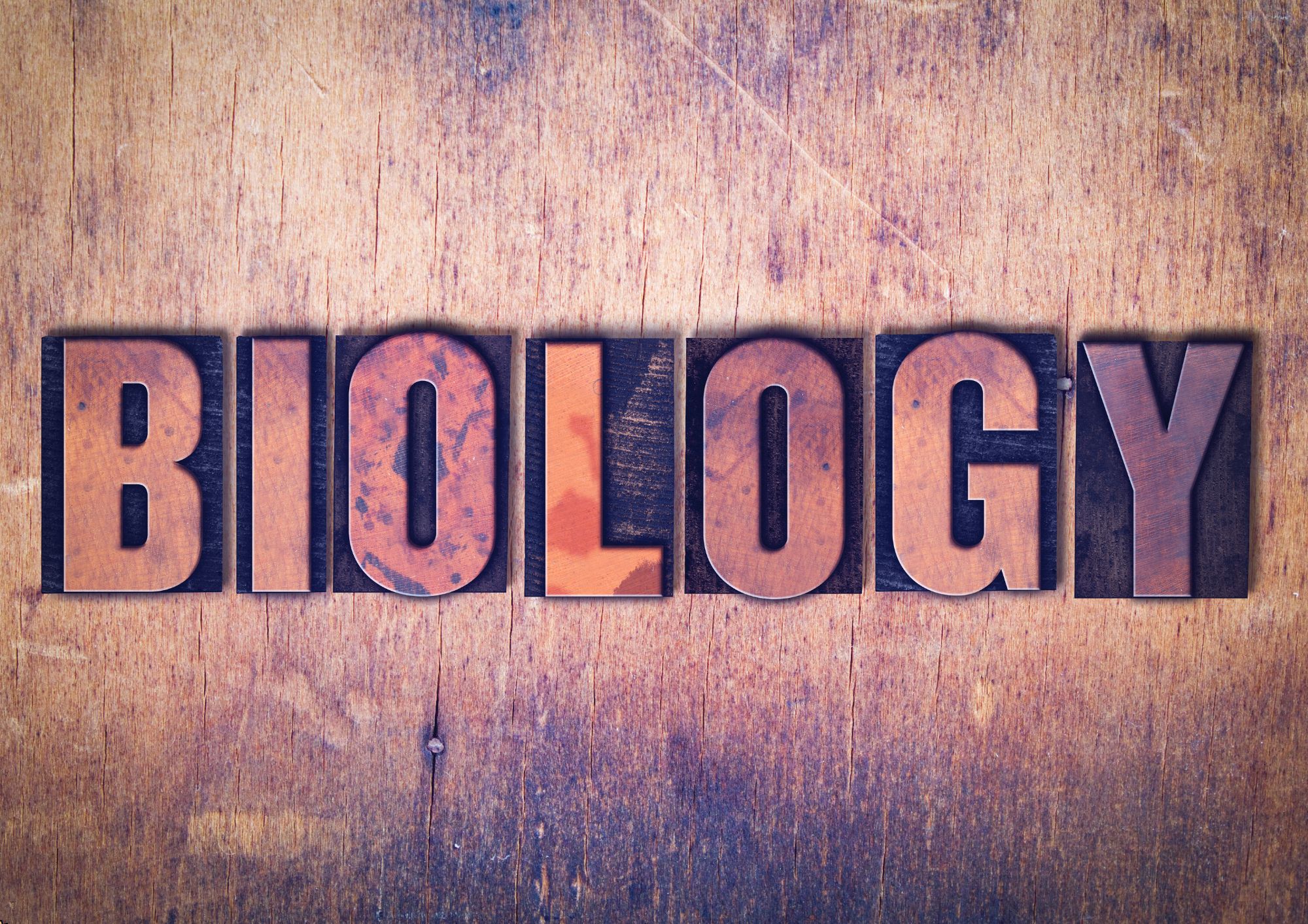 Biology - A Complete Guide