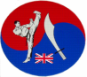 Saracen Martial Arts logo