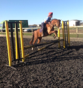 Newark Equestrian logo