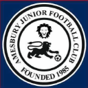 Amesbury Junior Fc