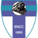 South Nutfield Cricket Club logo