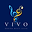 Vivo Music