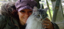 Catnips - London/East Sussex Mobile Cat Grooming