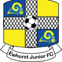 Ewhurst Jfc Home