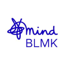 Mind Blmk