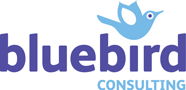 Bluebird Consulting Service