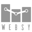 Websy Limited logo