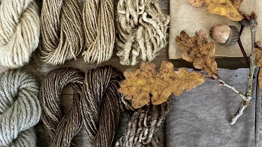6 Hour Introduction to Natural Dyeing, Mere, Wiltshire
