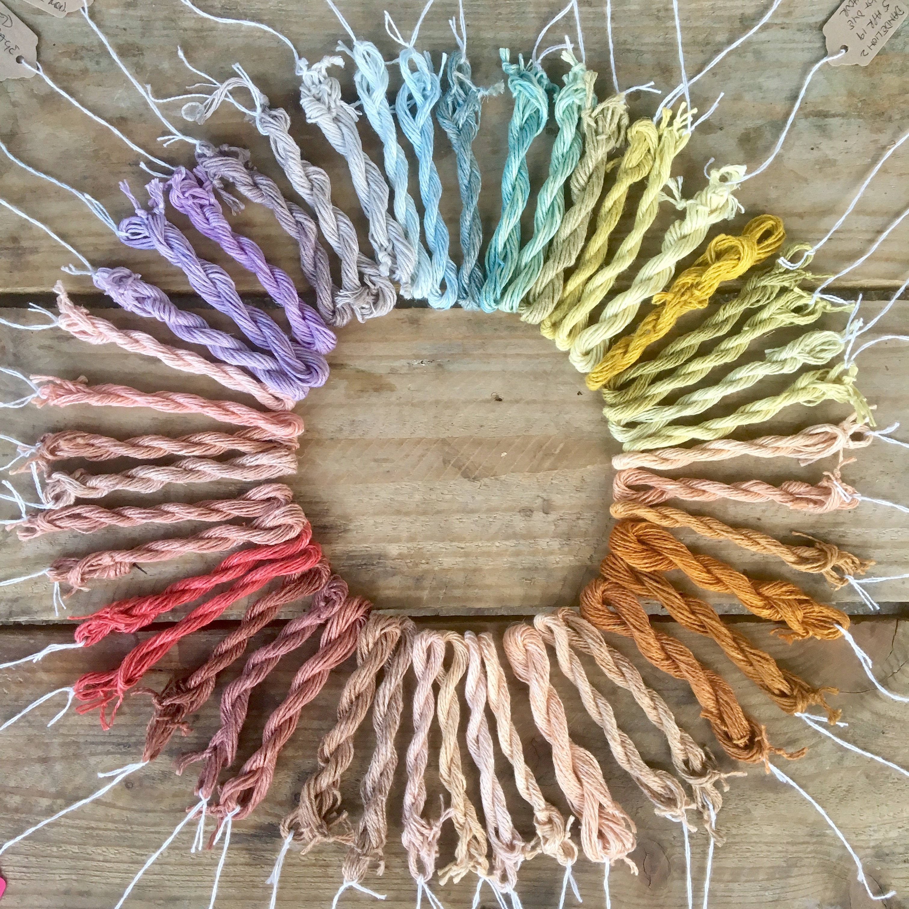 6 Hour Introduction to Natural Dyeing, ELKA Studio