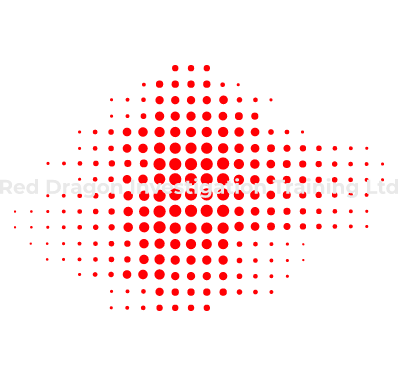 Red Dragon Investigation Training logo