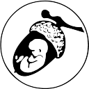 Small Acorn | Hypnobirthing • Antenatal Courses • Mummy Mothering • Aquanatal Yoga logo