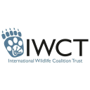 International Wildlife Coalition Trust logo