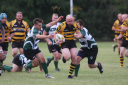 Ely Tigers Rugby Club