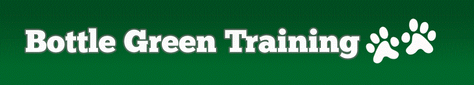 Bottle Green Training Ltd logo