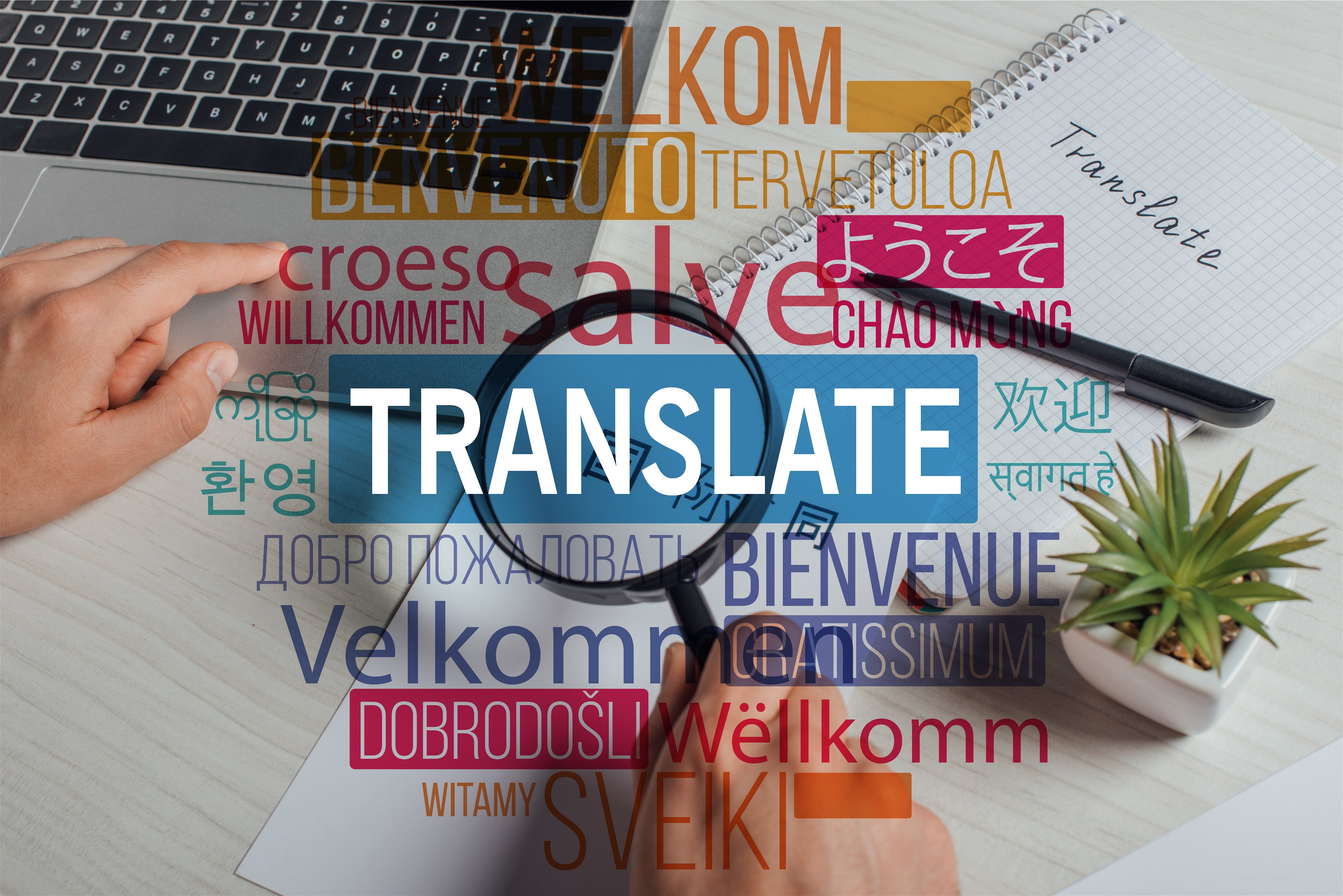 Translation Training Courses