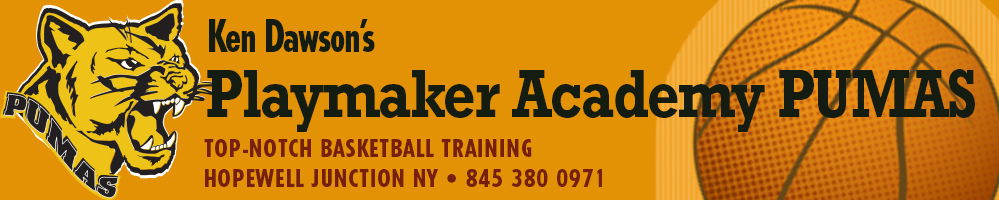 Playmaker Academy logo