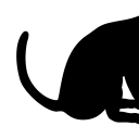 All About Siamese Cats logo