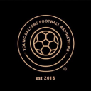 Young Ballers Football Aspirations logo