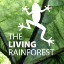 The Living Rainforest