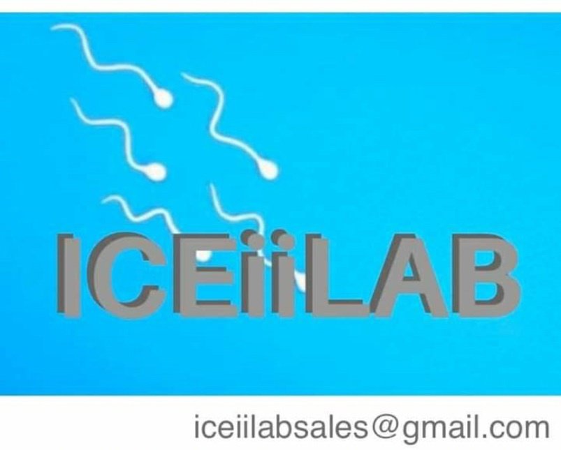 ICEiiLAB logo