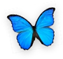 Papillon House School logo