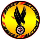 Fawley Falcons logo