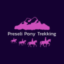 Preseli Pony Trekking At Ashvale Holiday & Riding Stables