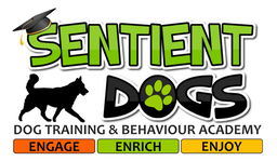 Sentient Dogs Training & Behaviour