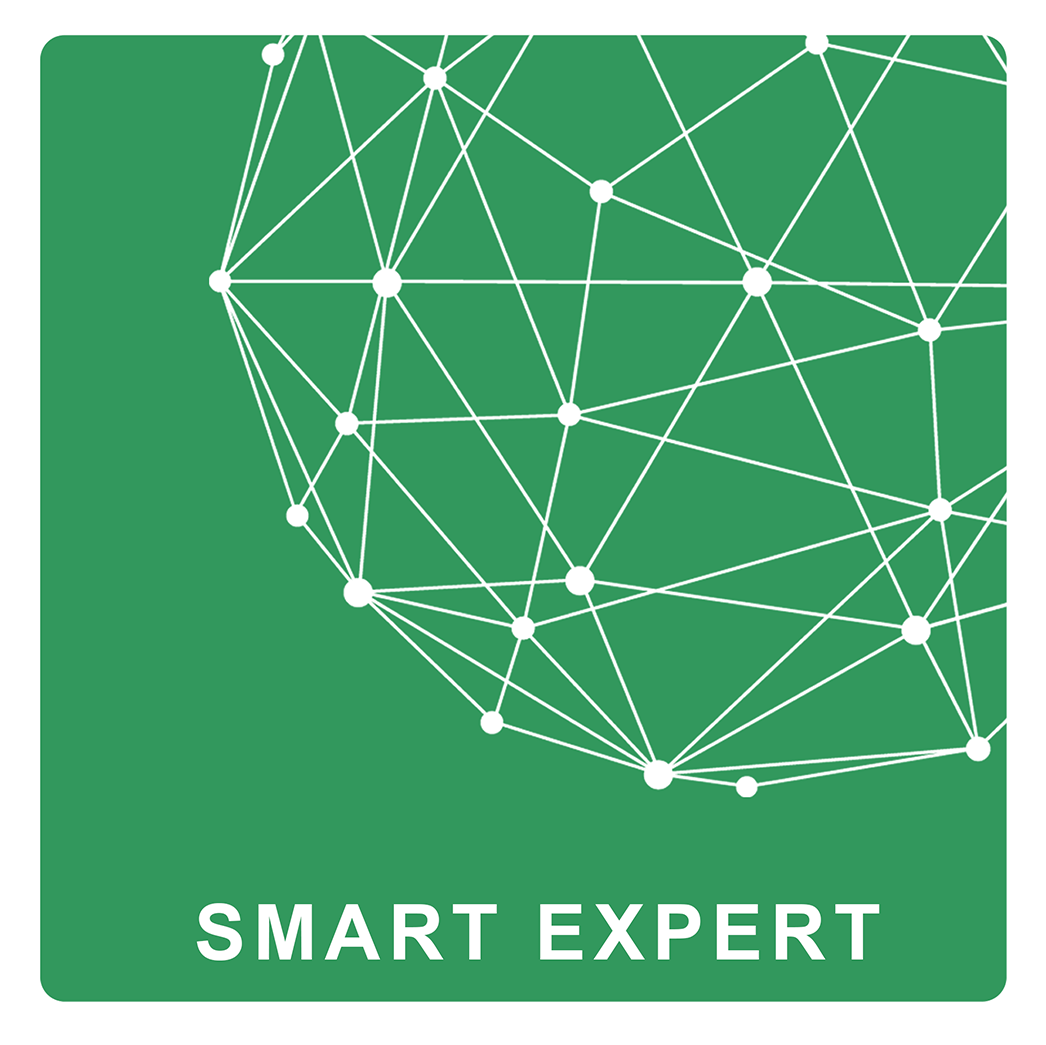 Expert Serv logo