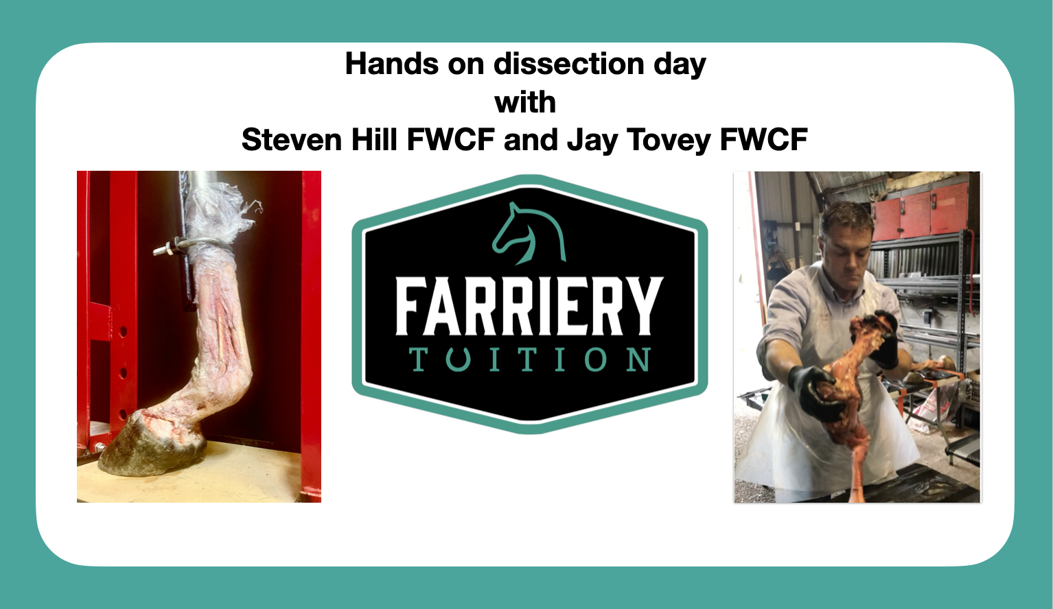 Farriery Dissection Day Chesterfield 