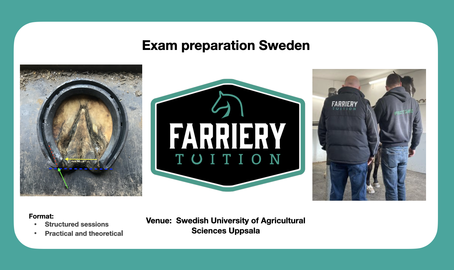 Farriery exam preparation course Sweden
