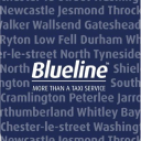 Blueline Business Development Centre logo
