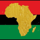 The Pan African Academy logo