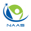 Naas Consultancy logo