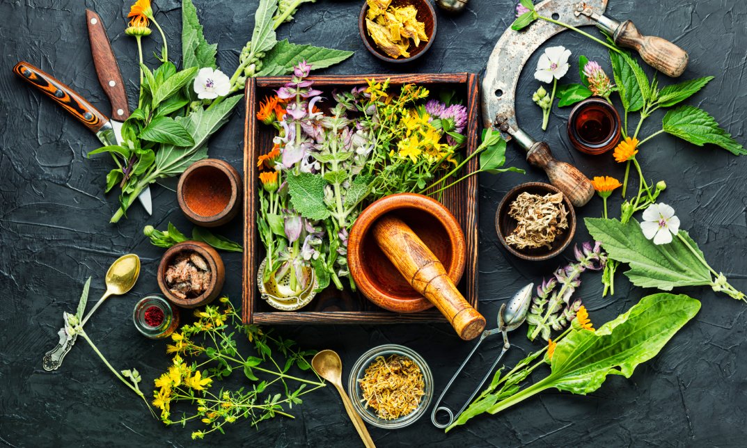 Herbalism :Herbs and Foods for Long-term Health