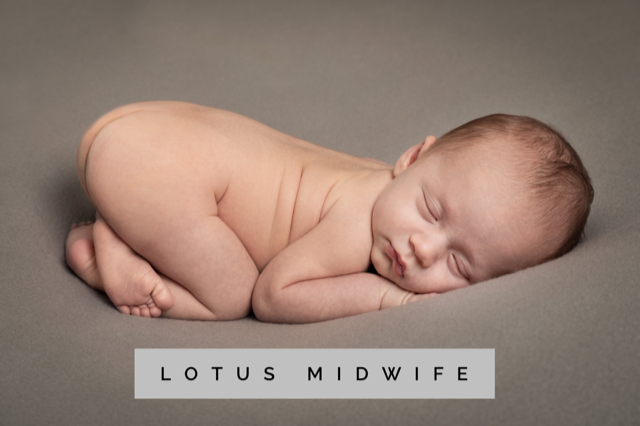 Lotus Midwife logo