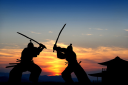 Shadow Warrior Bujinkan Amersham