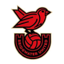 Bridgwater United Fc Women logo