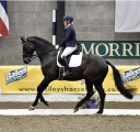 Banesley Lane Equestrian Centre logo