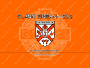 Clann Eireann Youth Club logo