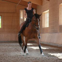 Lucy Middleton Classical Dressage